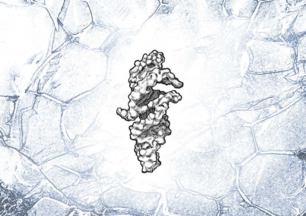 Artist's depiction of the QT45 ribozyme overlaid on a microscopy image of the frozen environment that aids RNA replication.